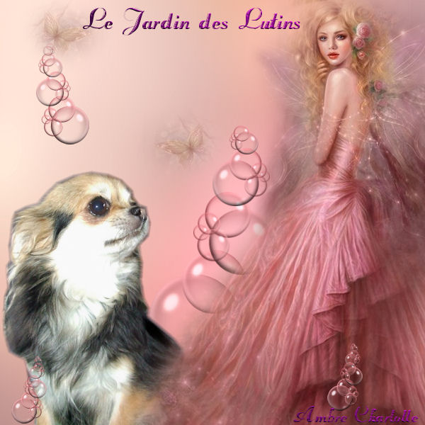 Daimy du Jardin des Lutins