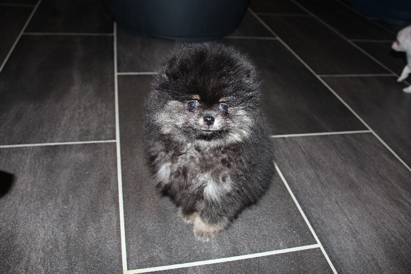 Holympe du Jardin des Lutins